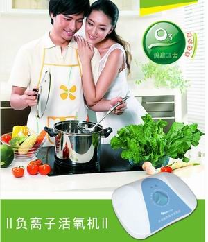 多功能静音型活氧机贴牌